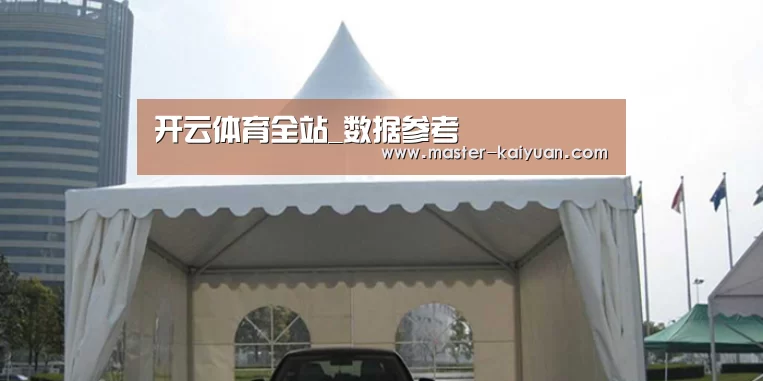 案例标题八