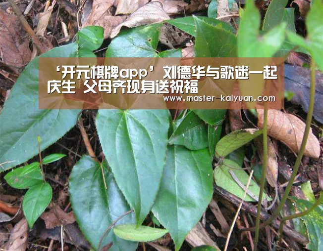‘开元棋牌app’刘德华与歌迷一起庆生 父母齐现身送祝福(图1) 开元棋牌官方下载
