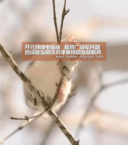 开元棋牌电脑版-前景广阔军民融合深度发展成京津冀协同发展新亮点(图3) 开元棋牌app